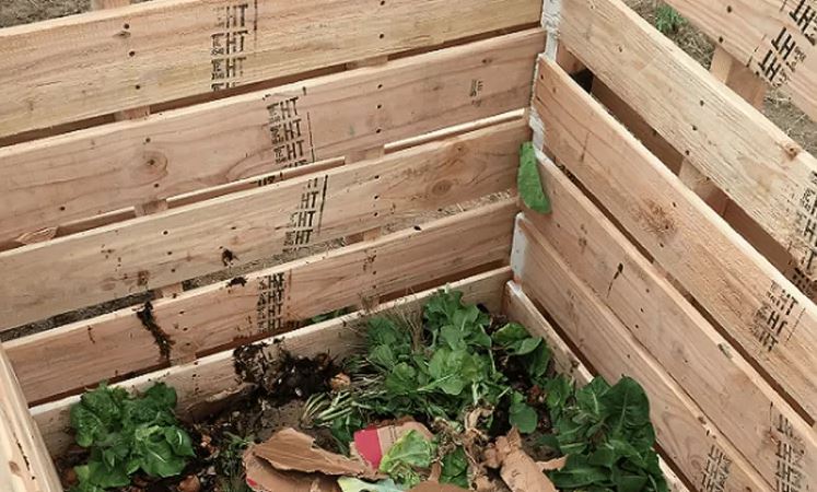 پارس پالت | سطل زباله و کمپوست