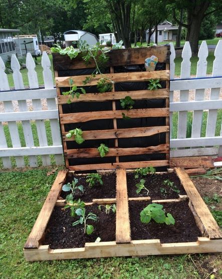 پارس پالت | استند گل و گلدان