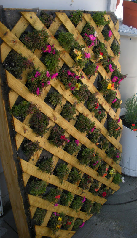 پارس پالت | استند گل و گلدان