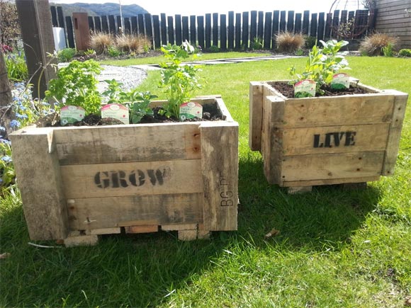 پارس پالت | استند گل و گلدان