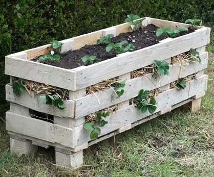 پارس پالت | استند گل و گلدان