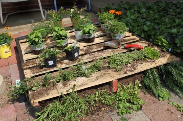 پارس پالت | استند گل و گلدان