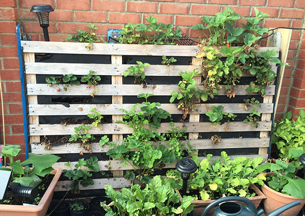 پارس پالت | استند گل و گلدان