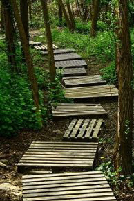 پارس پالت | پله و مسیر