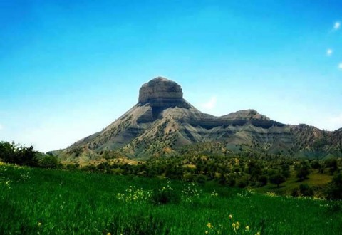 پارس پالت | پالت پلاستیکی در استان ایلام