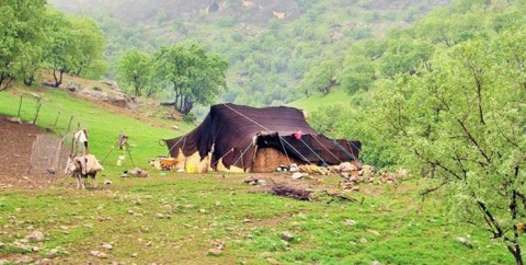 پارس پالت | پالت پلاستیکی در استان چهارمحال و بختیاری