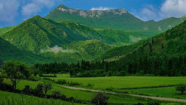 پارس پالت | پالت پلاستیکی در استان گلستان