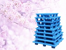 پارس پالت | قیمت پالت‌ پلاستیکی در بهار 1404